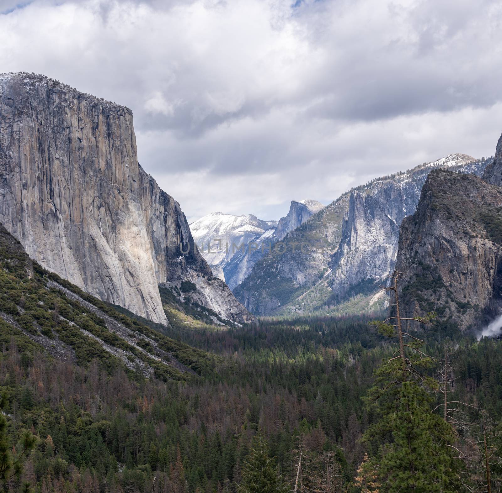 Yosemite national Park  by vichie81