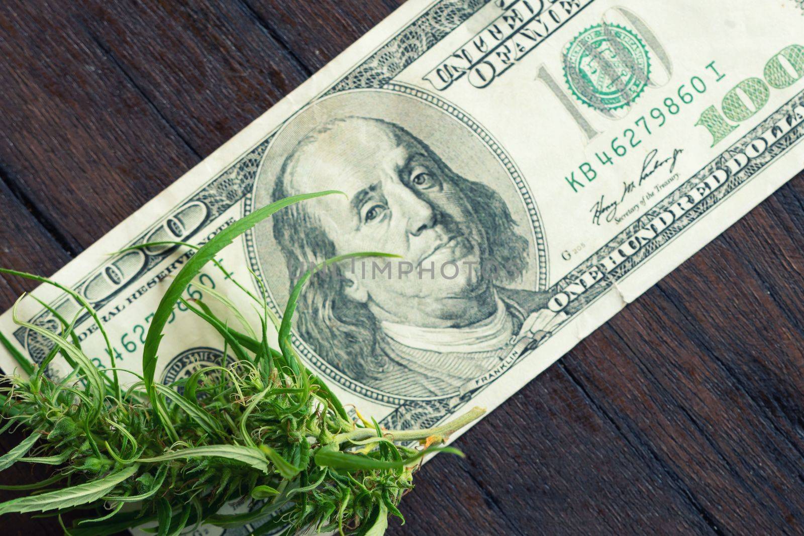 marijuana flower on hundred dollar banknote by anankkml