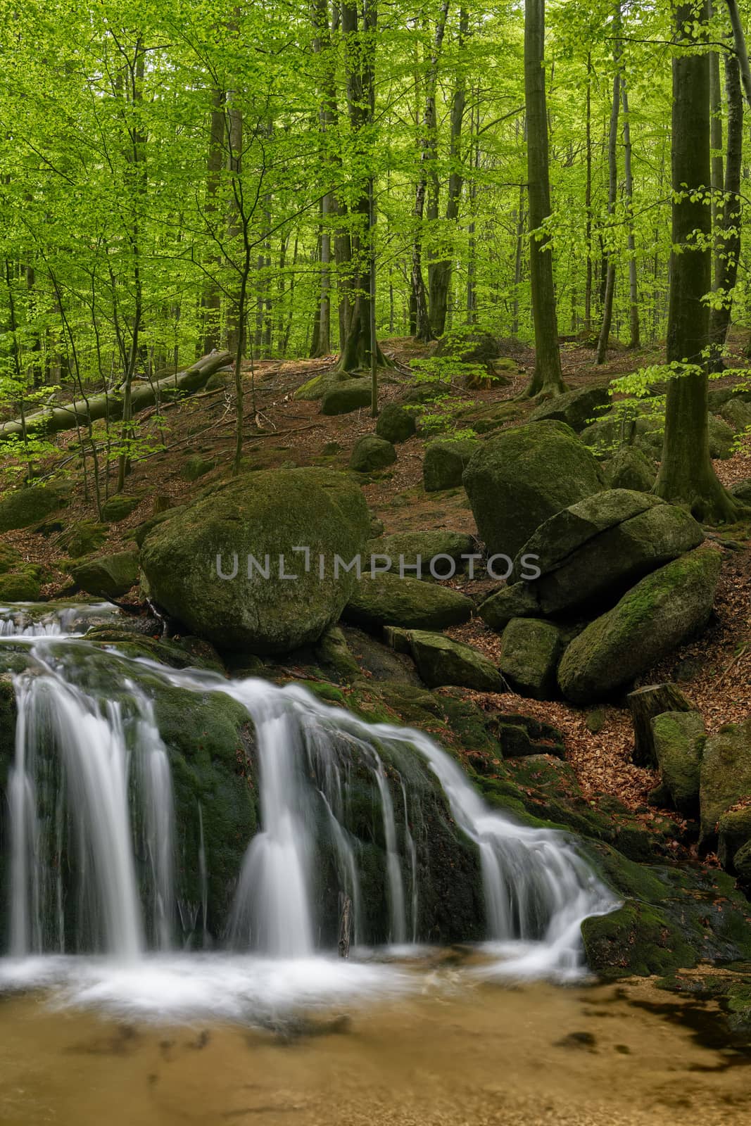 Beautiful Maly waterfall in super green spring forest surroundings, Czech Republic