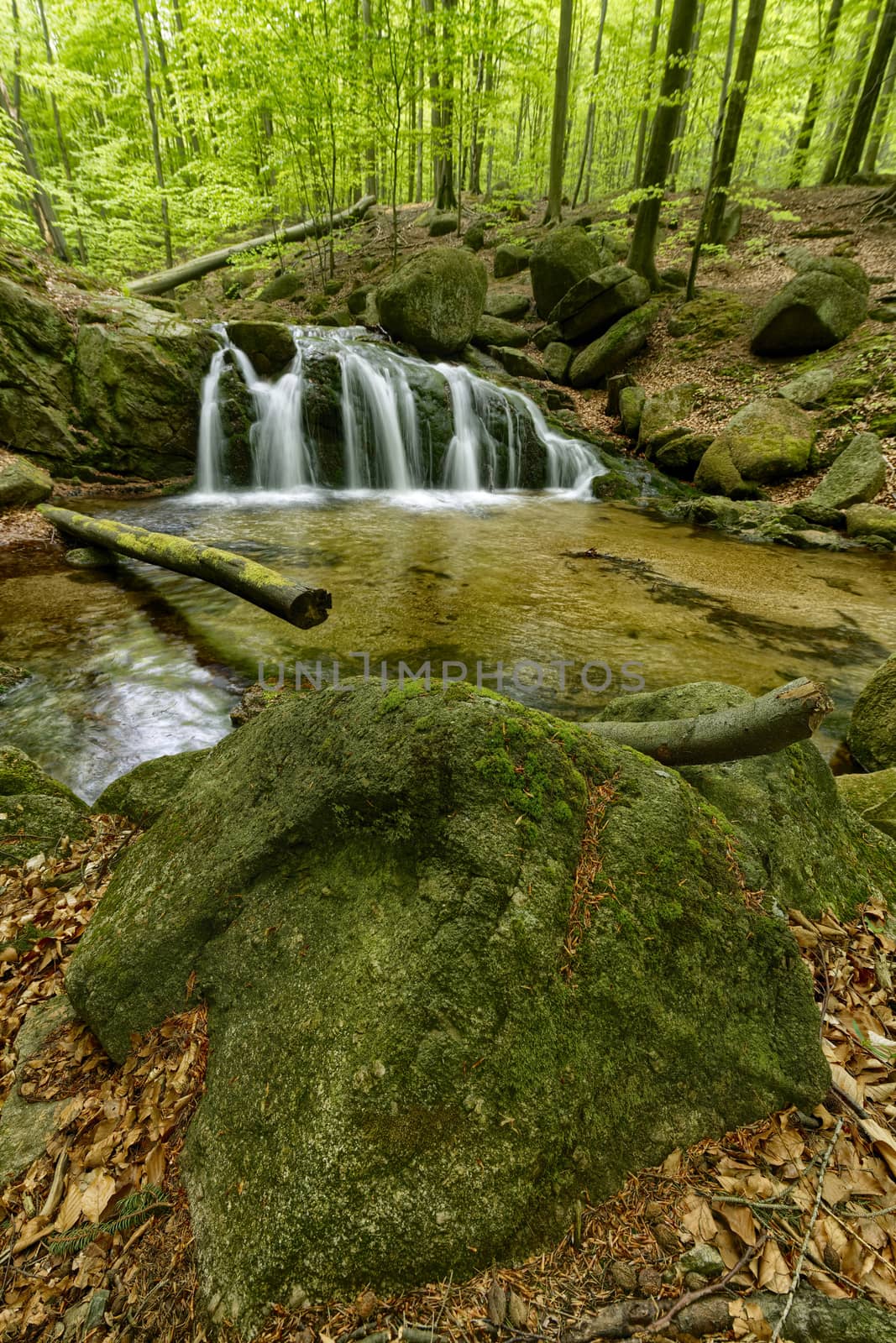 Beautiful Maly waterfall in super green spring forest surroundings, Czech Republic