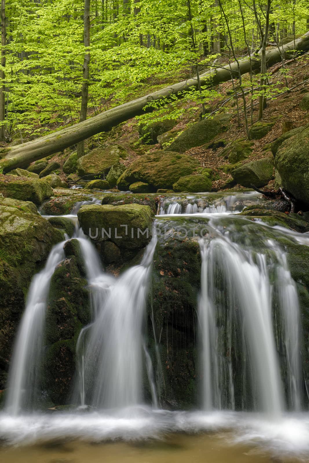 Beautiful Maly waterfall in super green spring forest surroundings, Czech Republic