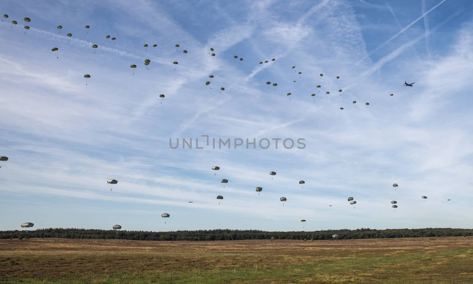 Ede,Holland,20-sept-2019:The airborne commemorations on Ginkel Heath with para drops with hundreds of parachutists dropped from hercules and dakota remebring the 75 year of operation market garden