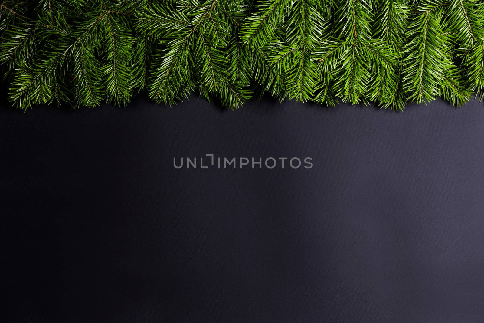 Pine Christmas tree branches on black paper background flat lay top view mock-up