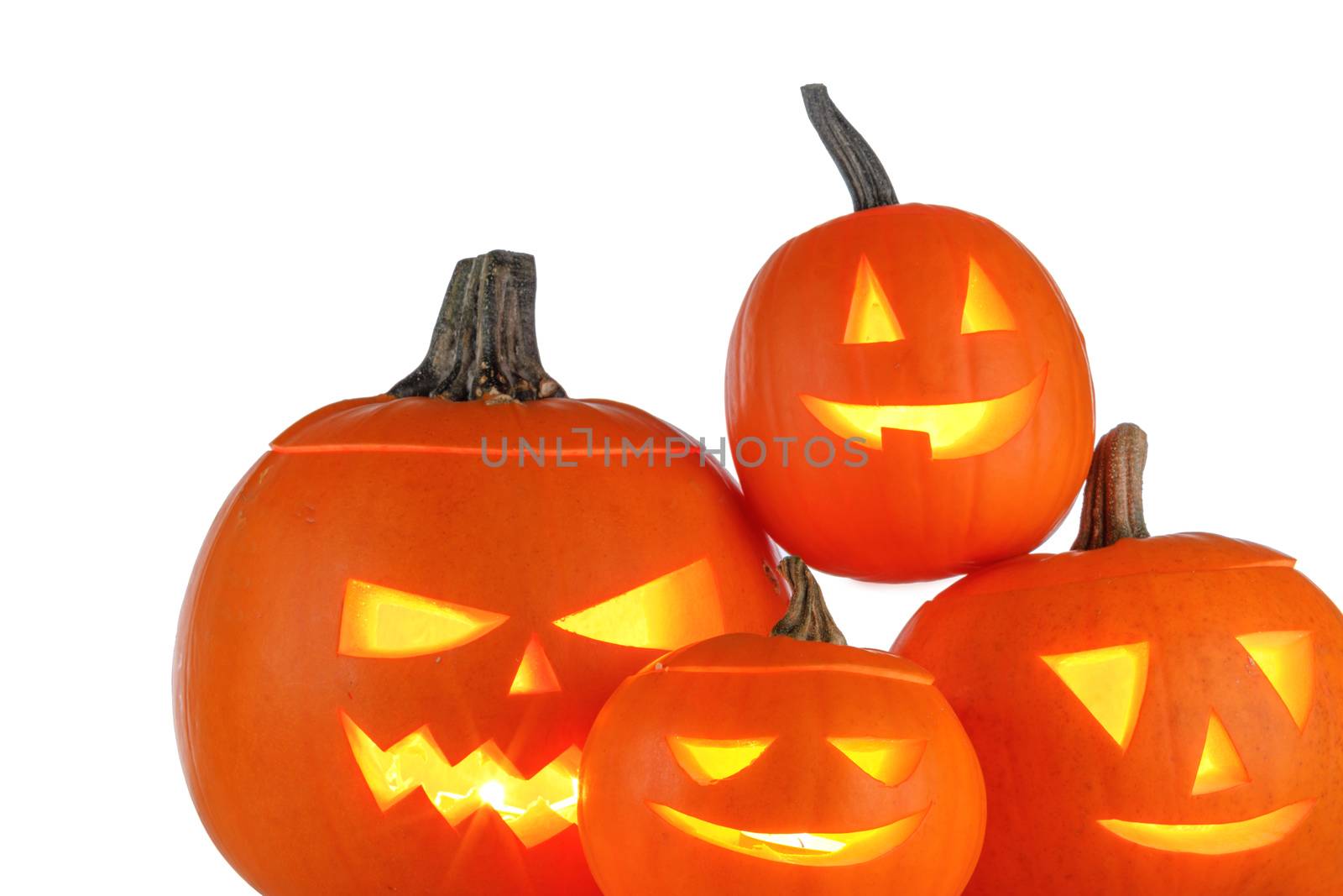 Group of Halloween Pumpkins isolated on white background