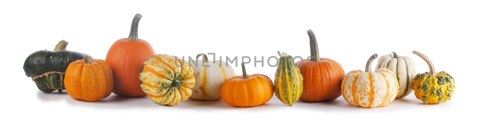 Assortiment of autumn harvested pumpkins in a heap isolated on white background , Halloween holiday concept