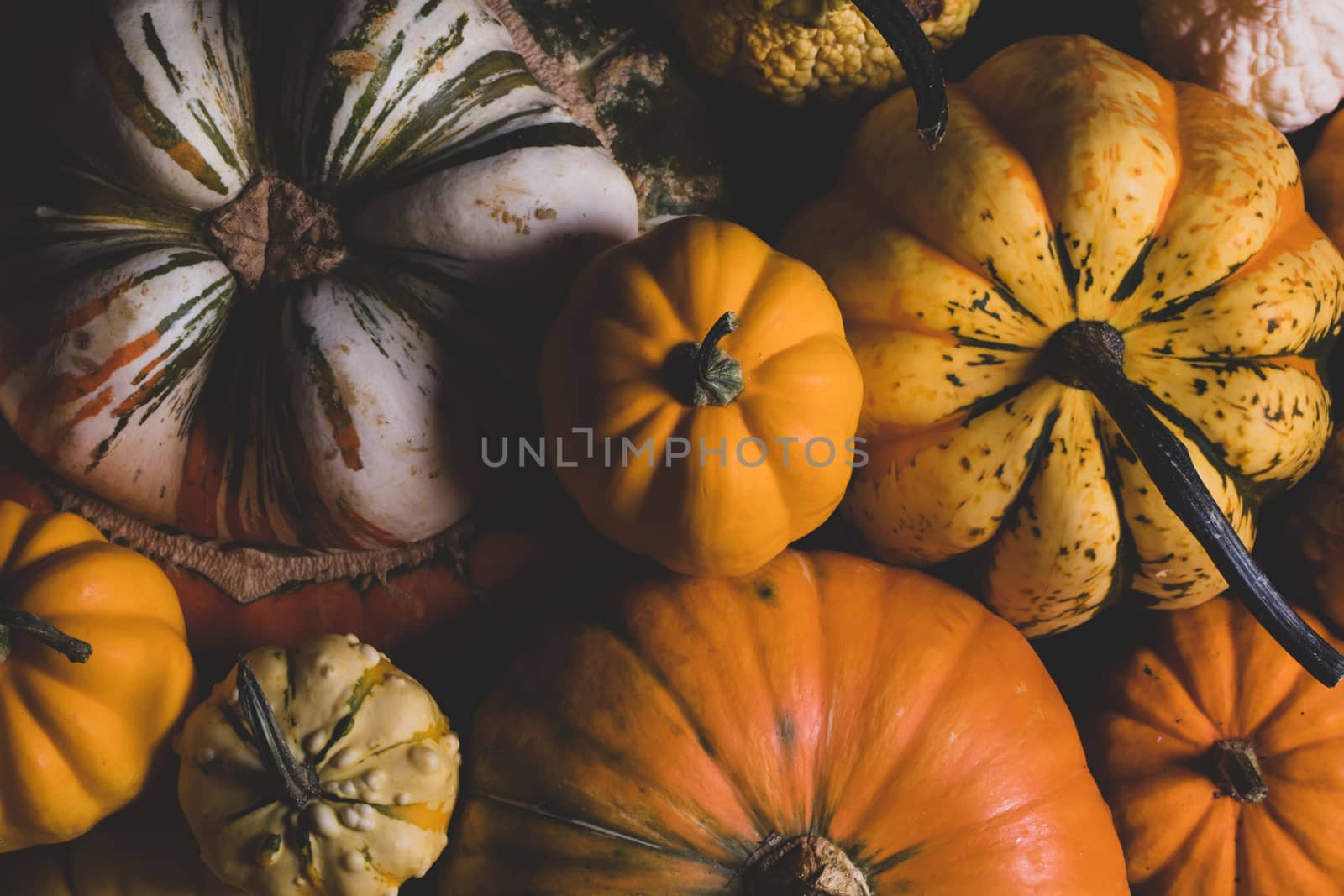 Many orange pumpkins on wooden background, Halloween concept
