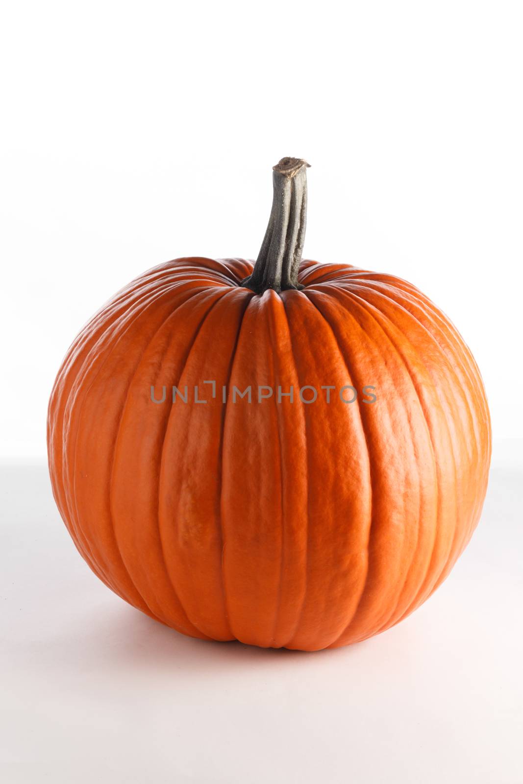 Pumpkin isolated on white by Yellowj