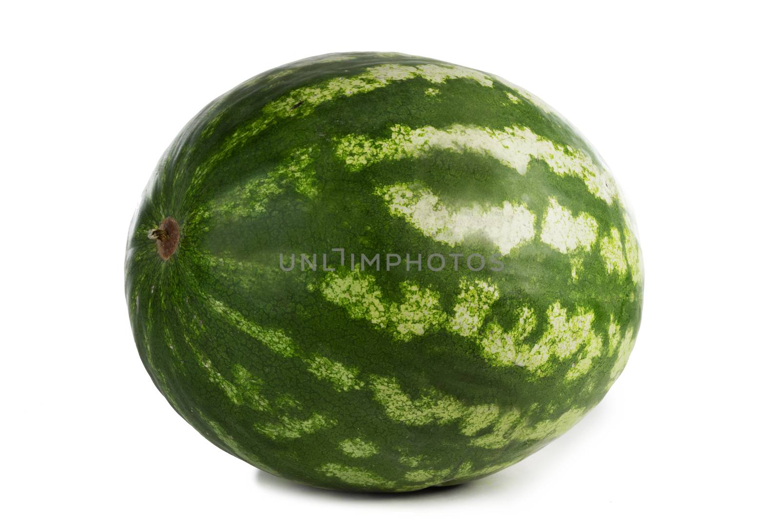 One watermelon isolated on white background