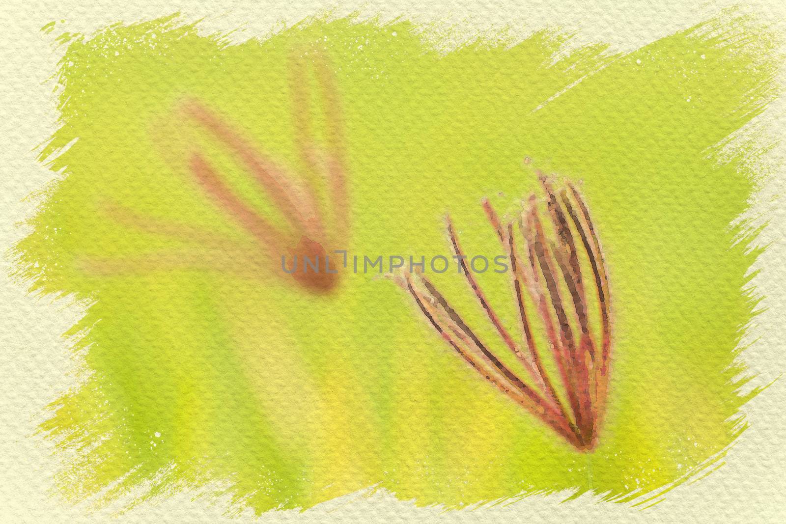 Flowering grass in green of meadow. Digital watercolor painting effect. Copy space for text.