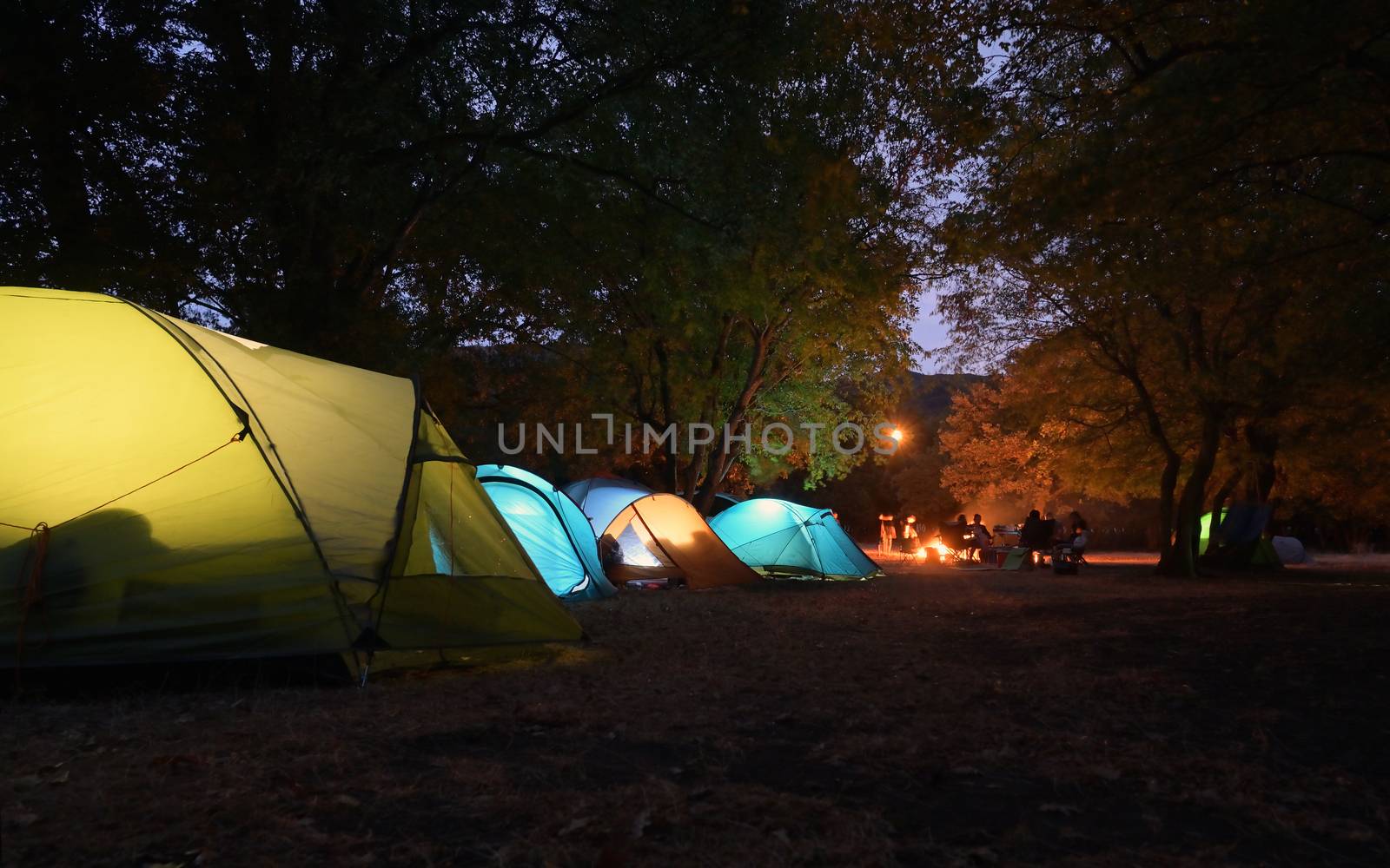 Tents and people outside in nature at night