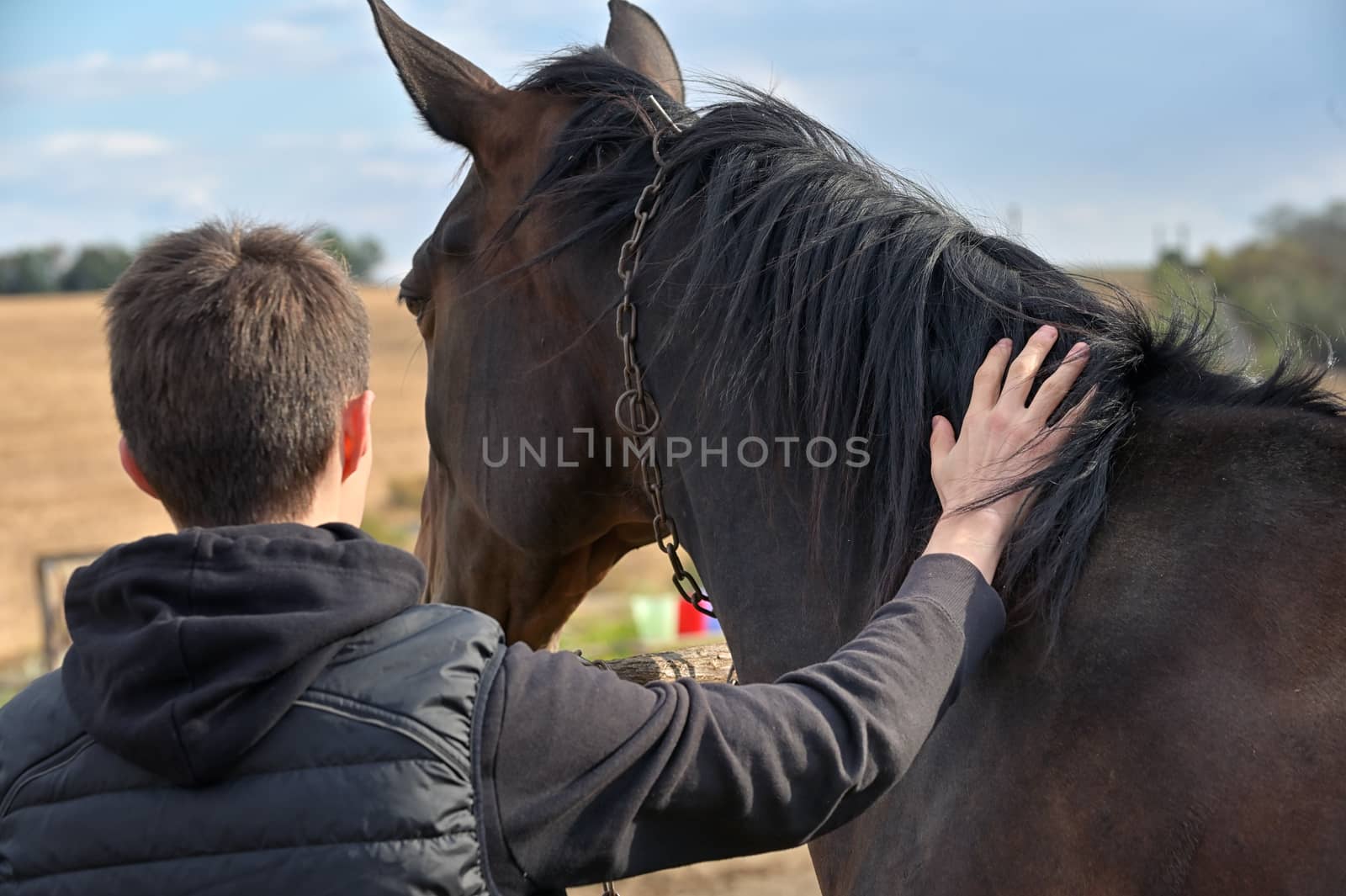 Teenage boy with a horse in nature