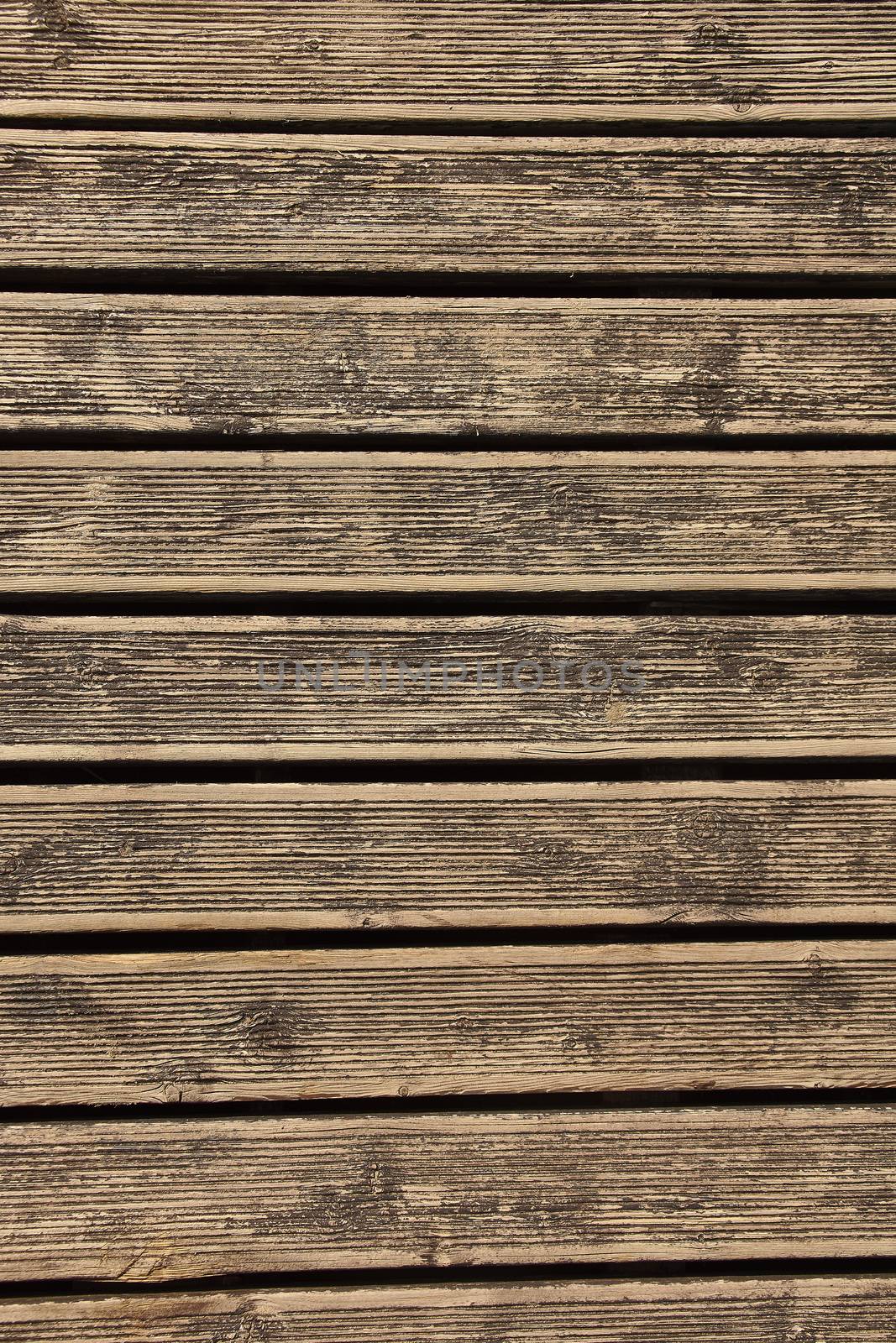 Texture of wood planks #5 by pippocarlot