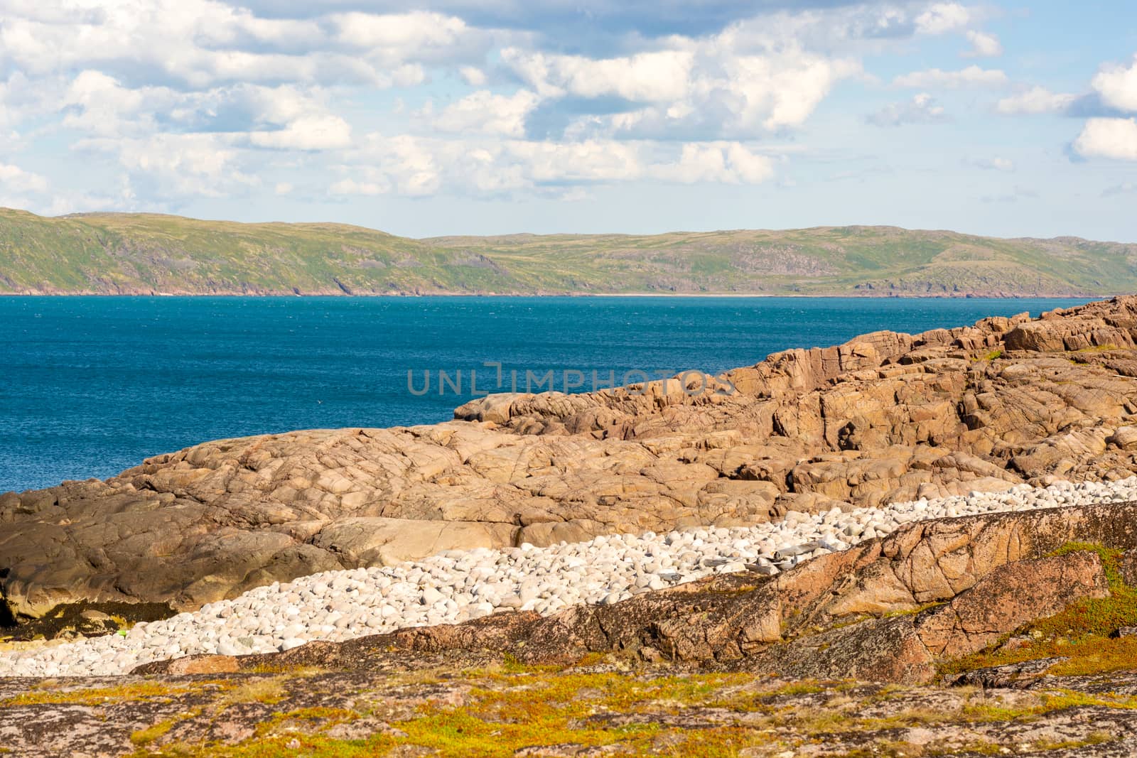 Summer seascape overlooking the Barents sea. Bright Northern colors shimmer under the rays of the day sun. Rural and peaceful landscape