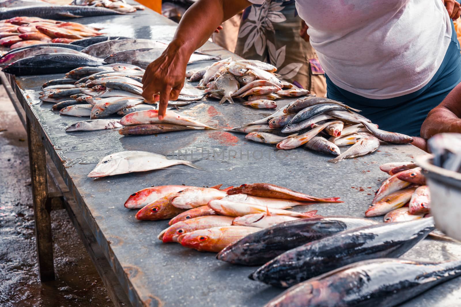 retail sale of fish on the dirty counter at the fish market, around people who watch and choose fish.