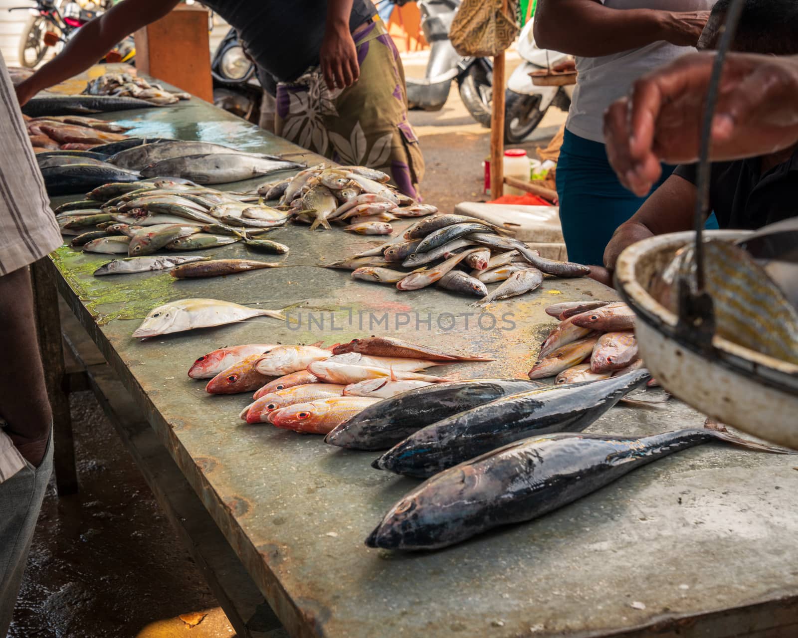 retail sale of fish at the market by Robertobinetti70