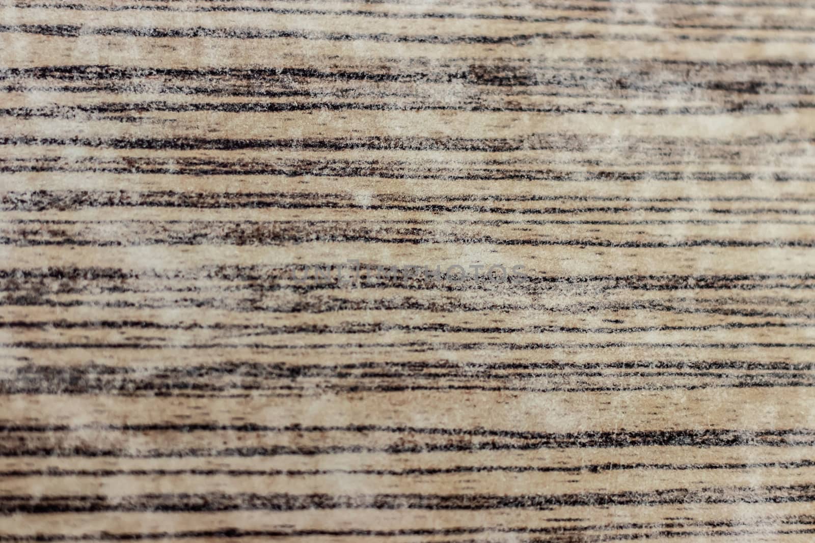 a smooth wood texture with brown lines on it - white color dominated. a closeup texture shoot.