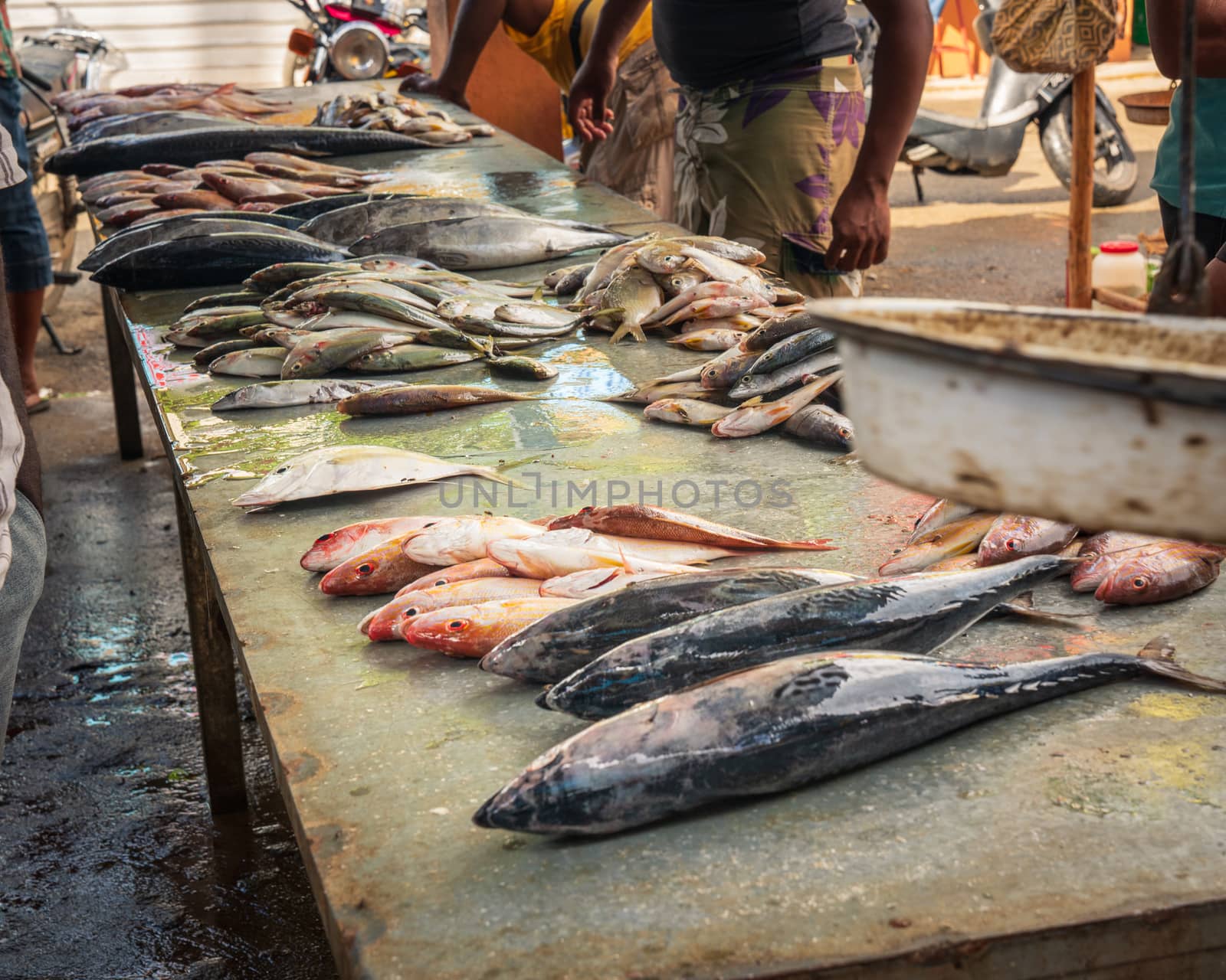 retail sale of fish at the fish market by Robertobinetti70