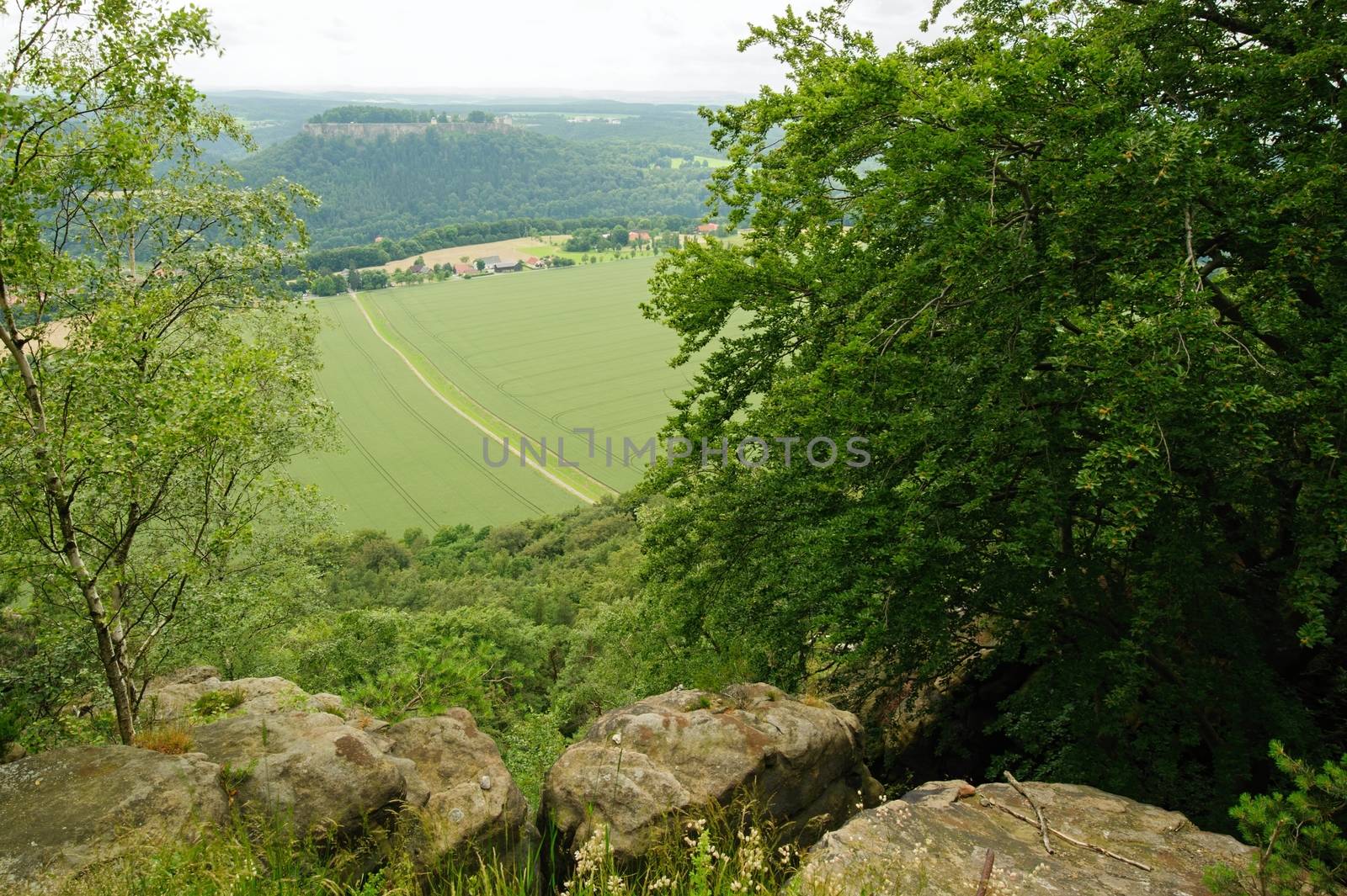 Beautiful summer landscape with meadows, forests and sky