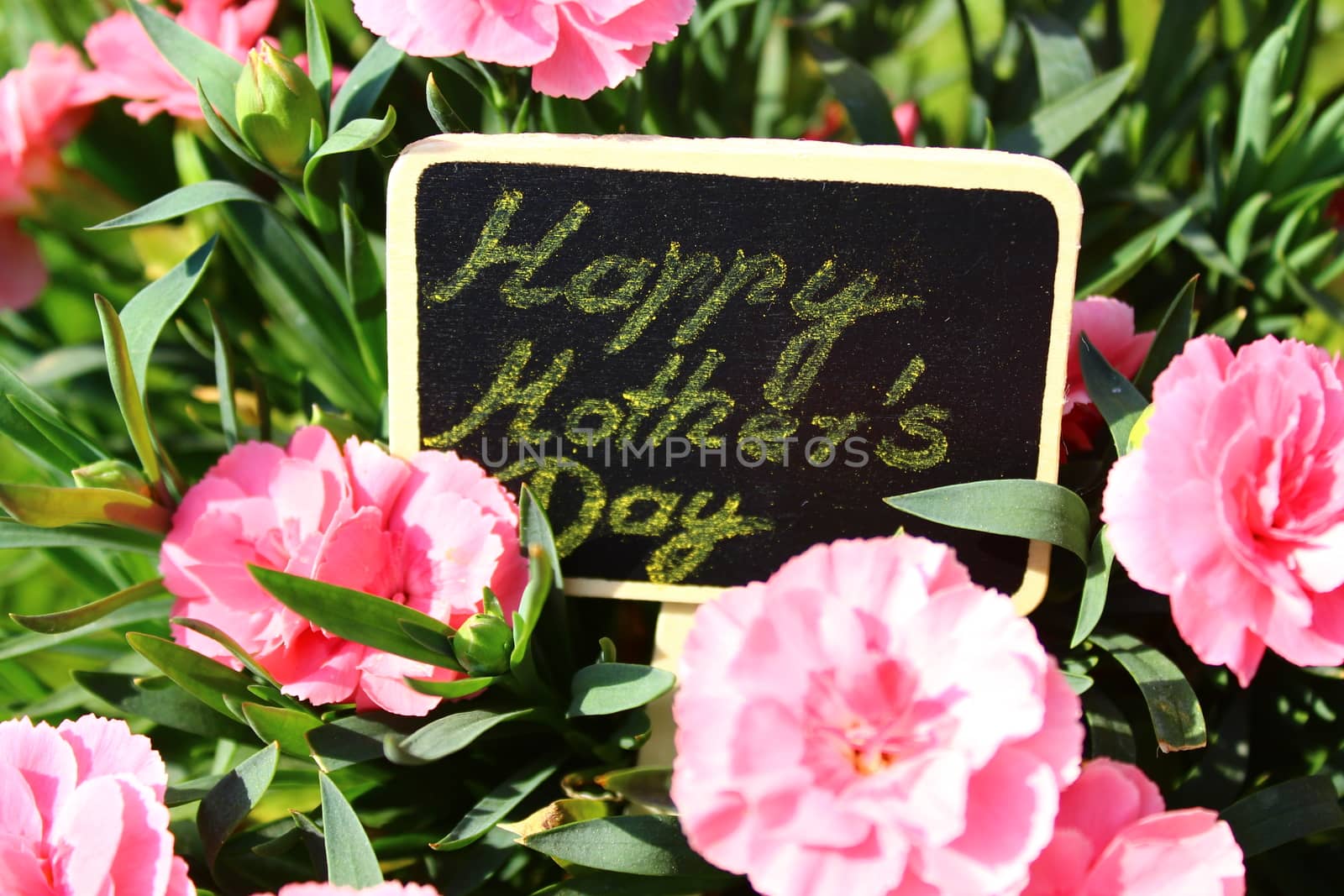The picture shows happy mothers day greeting with flowers.