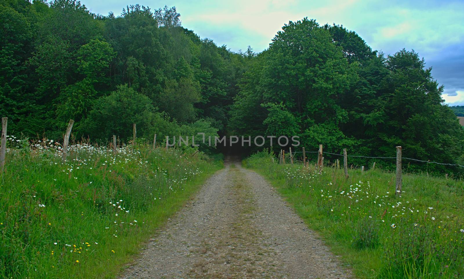 Empty dirt road at hilly countryside