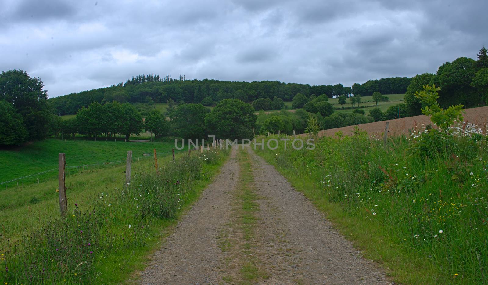 Empty dirt road at hilly countryside