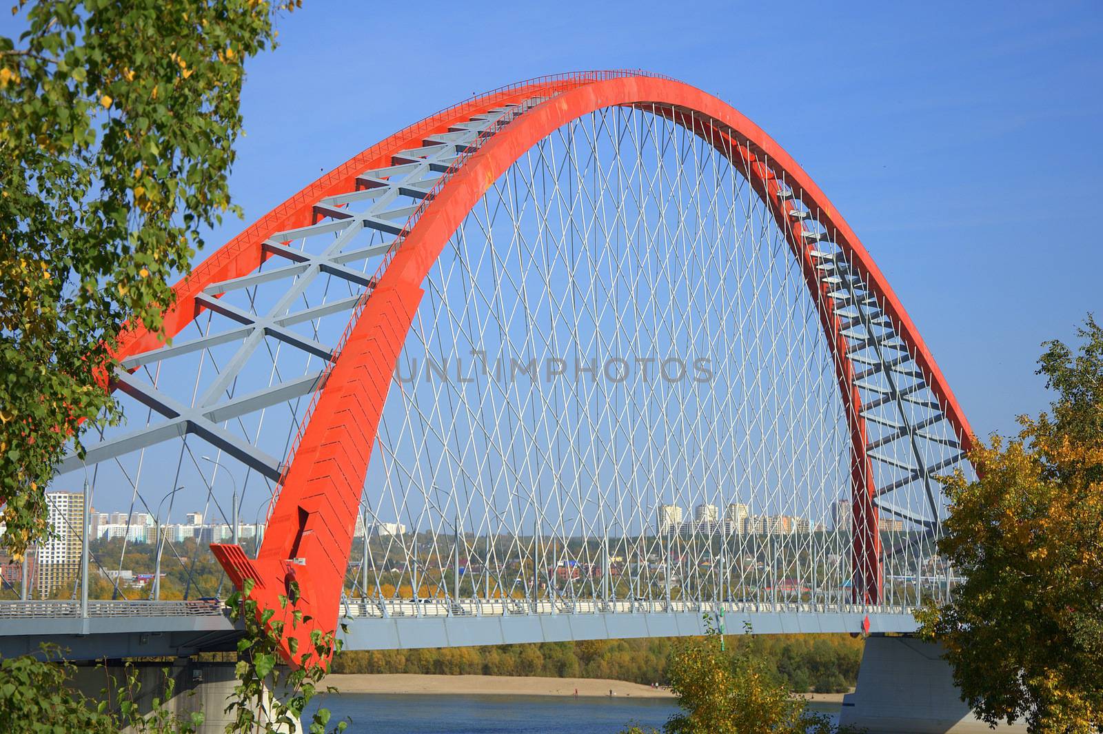 Red cable-stayed suspension archway, view through tree branches. Bugrinsky bridge, Novosibirsk, Russia.