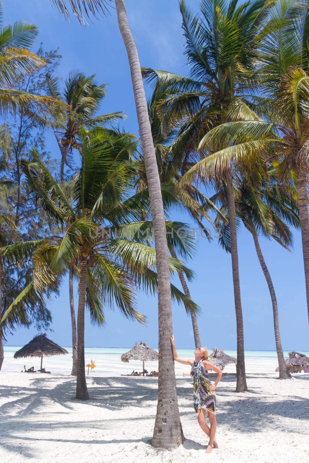 Perfect white sandy beach with palm trees, Paje, Zanzibar, Tanzania by kasto