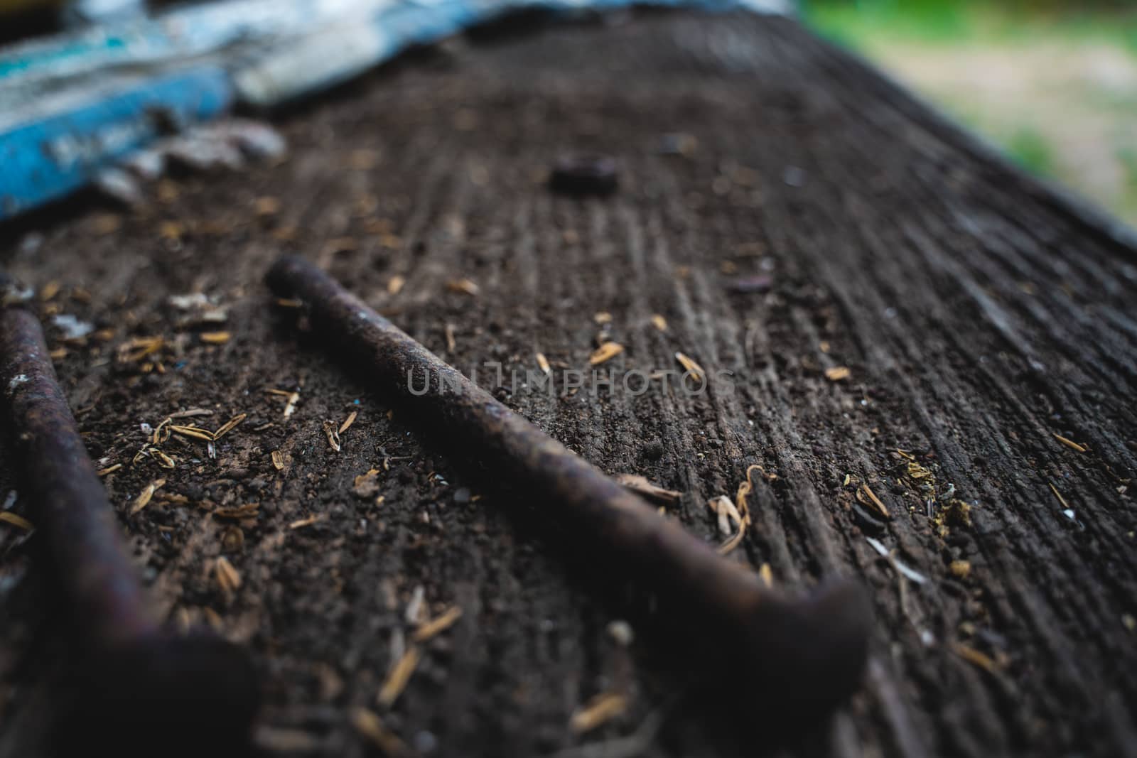 The selected focus very old rusty screws on the wood floor