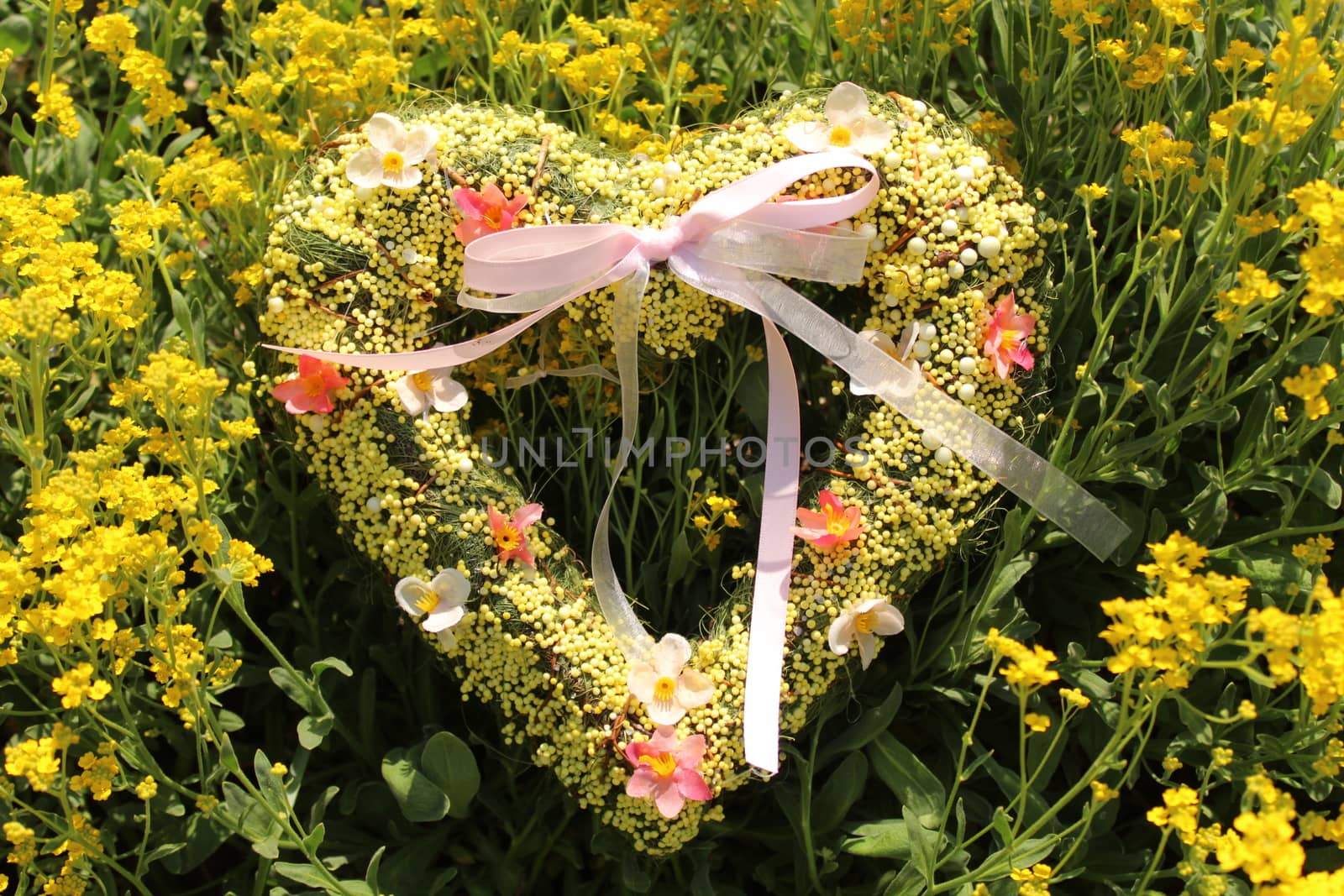 romantic heart in spring flowers by martina_unbehauen