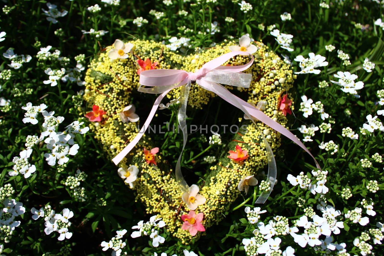 romantic heart in spring flowers by martina_unbehauen