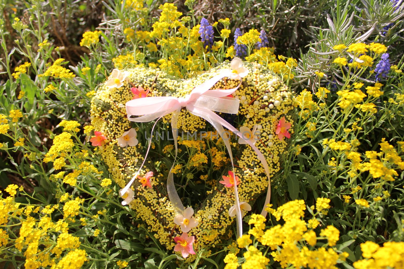 The picture shows a romantic heart in spring flowers.