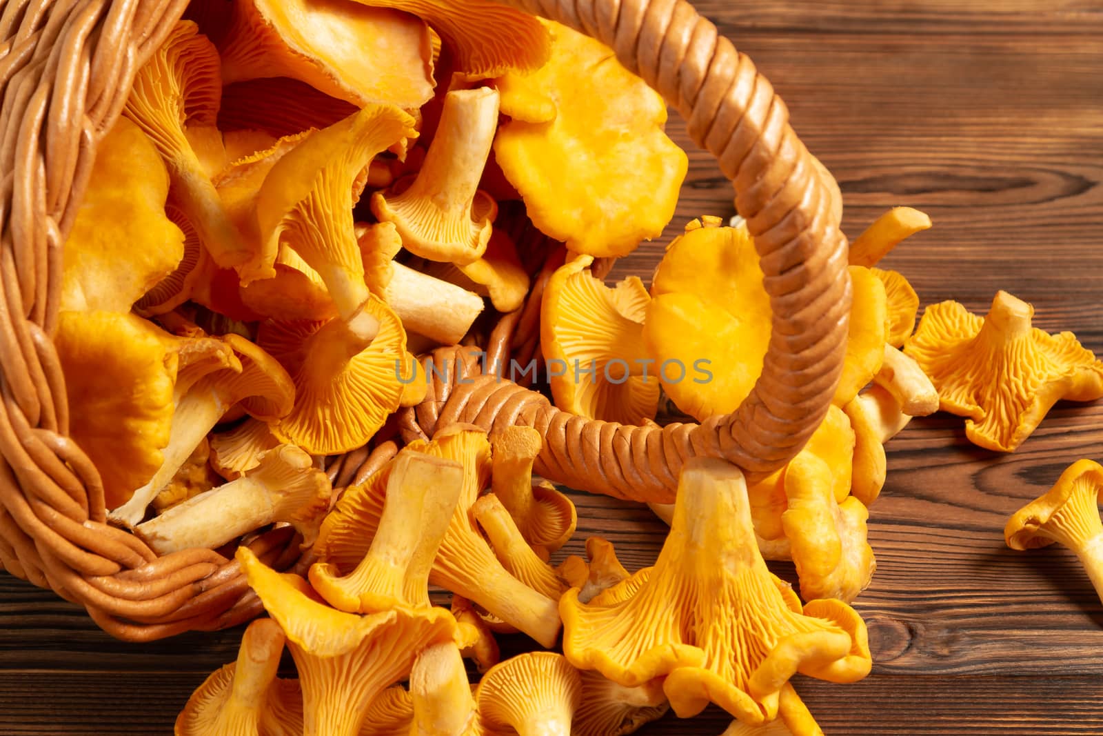 Wicker basket with chanterelles over an old wooden table, close up by galsand