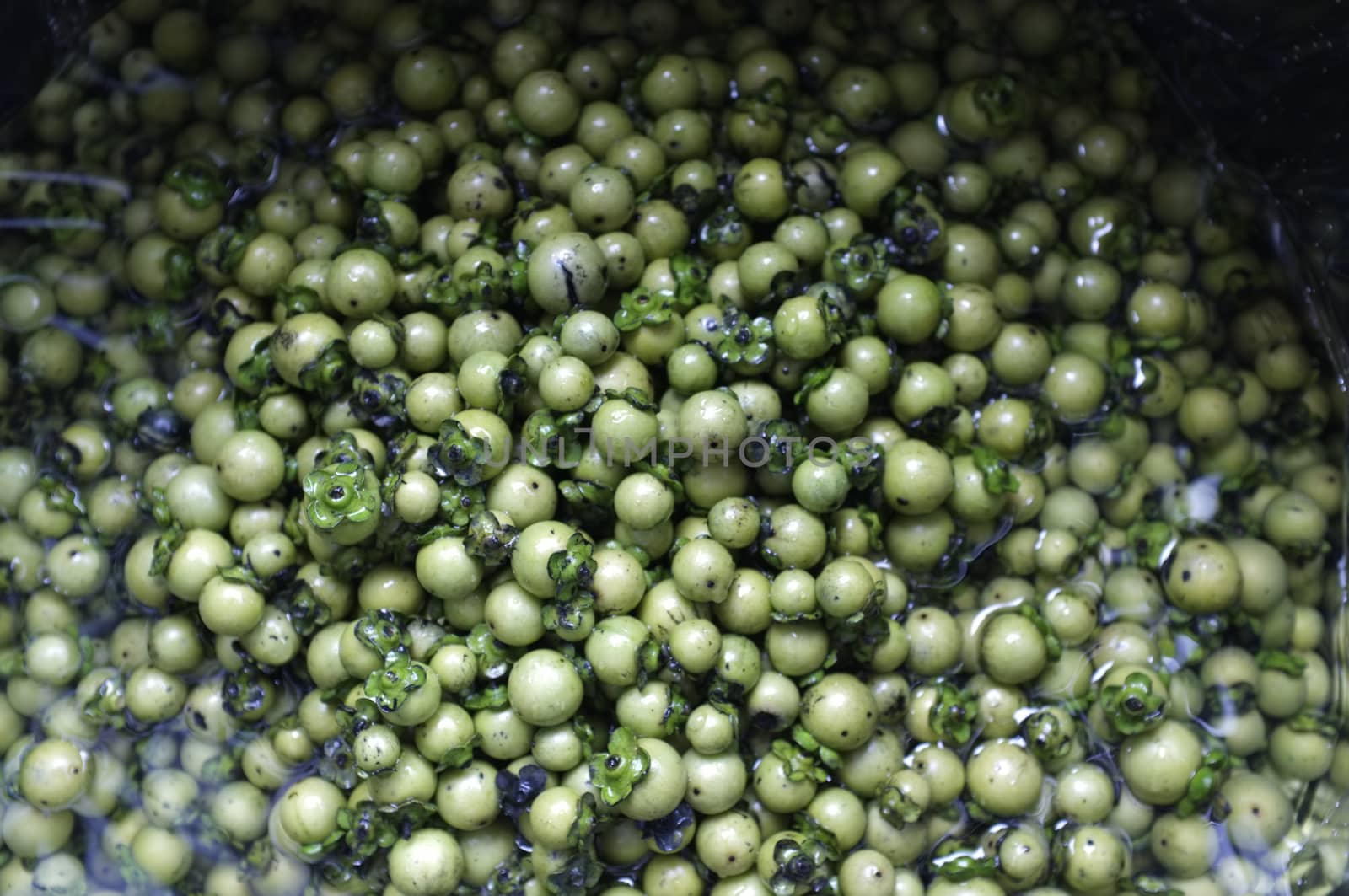 Fresh Diospyros mollis fruits Background , Thai herb and Natural dyes for fabric