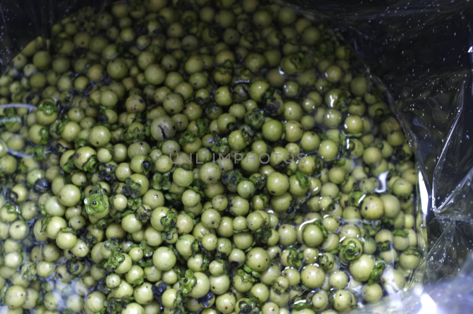 Fresh Diospyros mollis fruits Background , Thai herb and Natural dyes for fabric