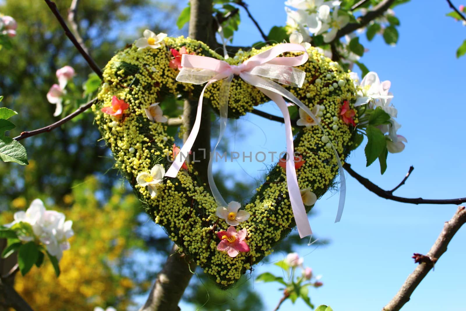 The picture shows a heart in the blossoming apple tree.