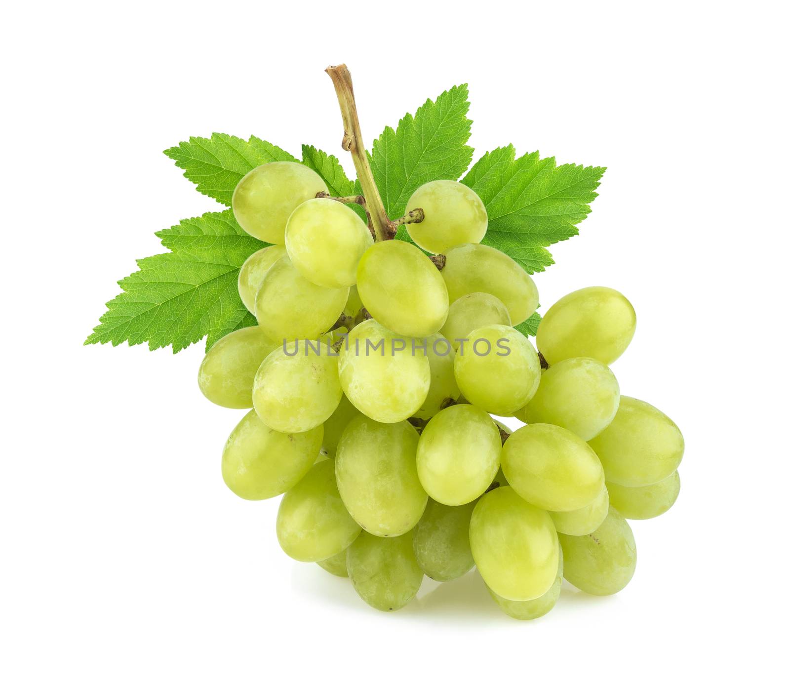 Green grape with leaves isolated on white background. Studio shot