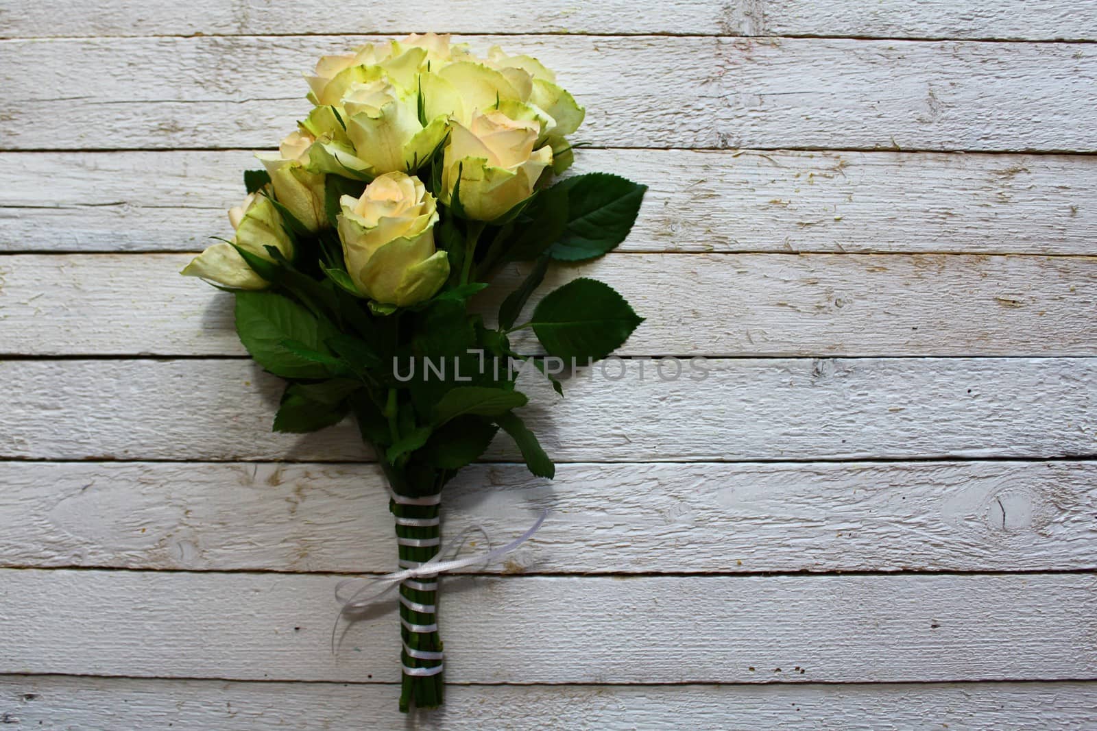 white roses on wooden boards by martina_unbehauen