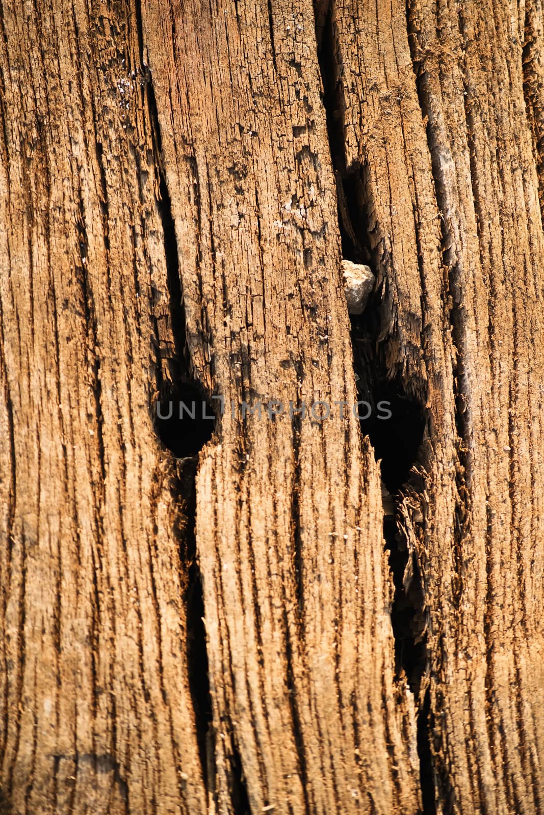 Wooden texture from used railway sleeper by Mendelex