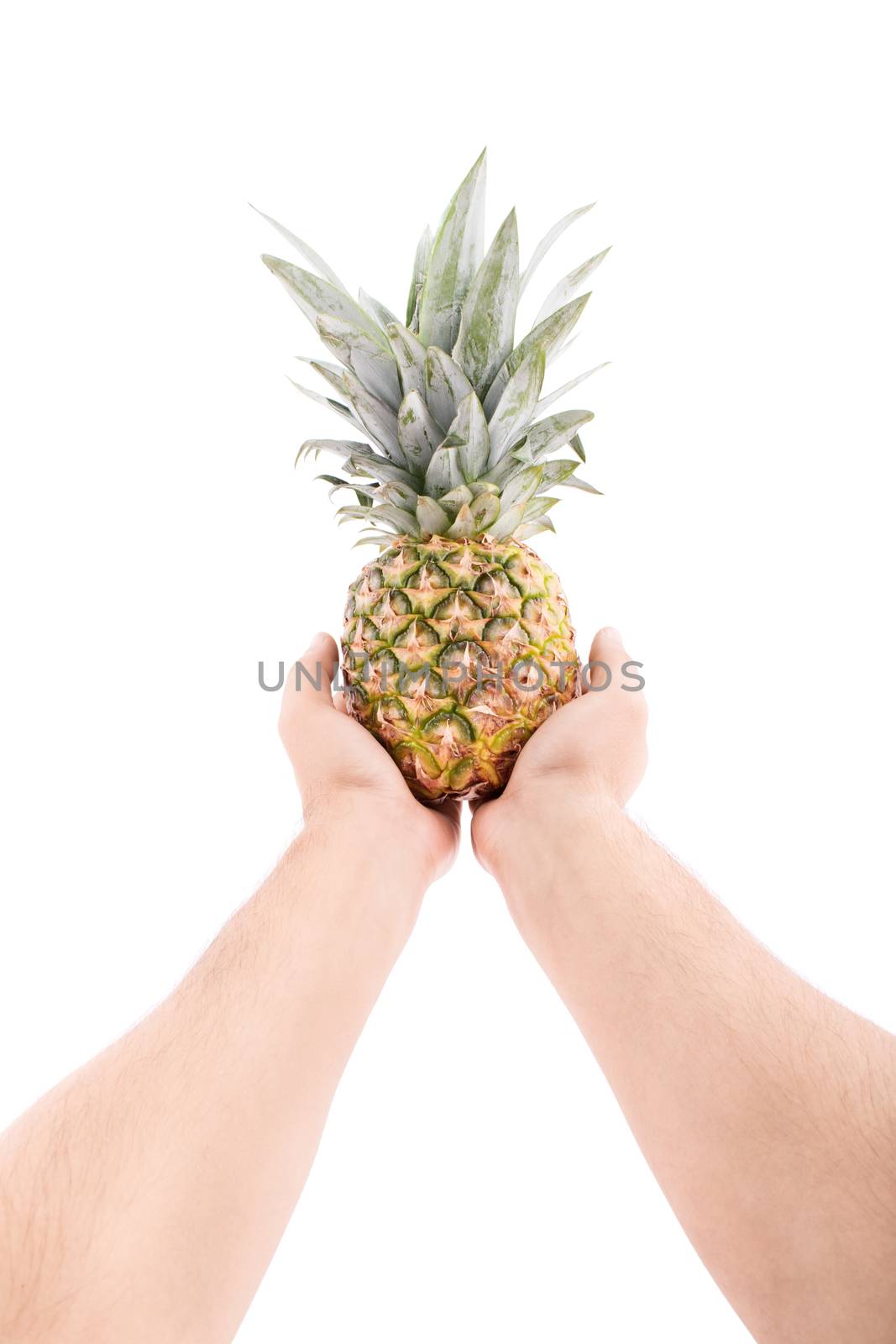 Stretched out male hands offering uncut pineapple, isolated on white background.