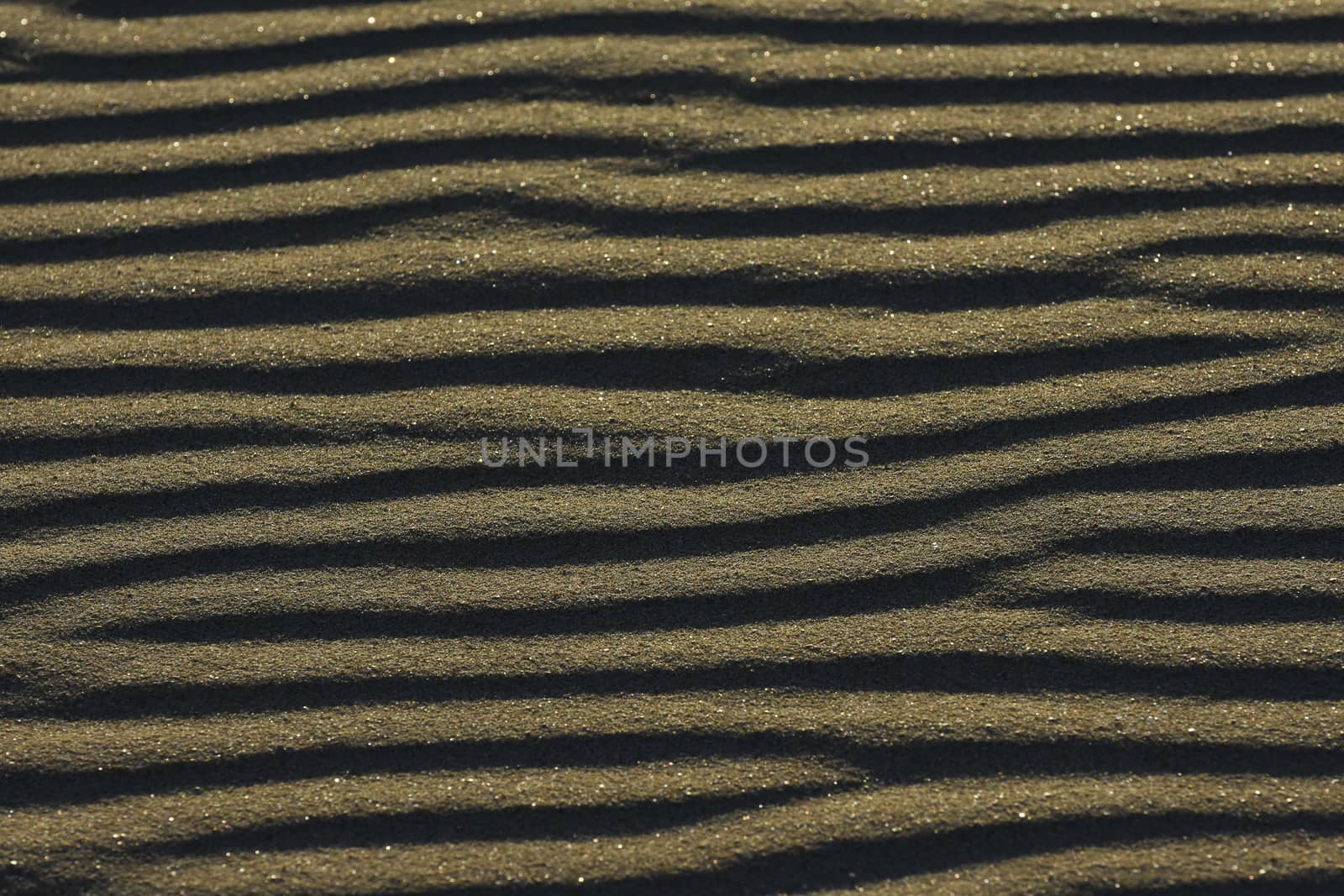 Smooth undisturbed wind ripple pattern in soft beach sand, Mossel Bay, South Africa