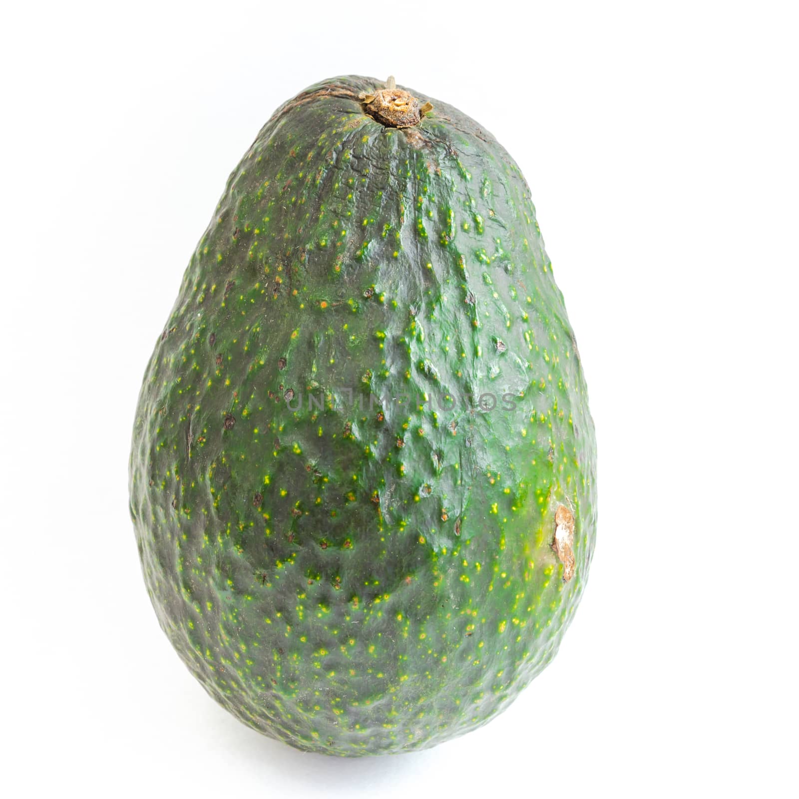 Studio shot single green avocado isolated on white background by trongnguyen