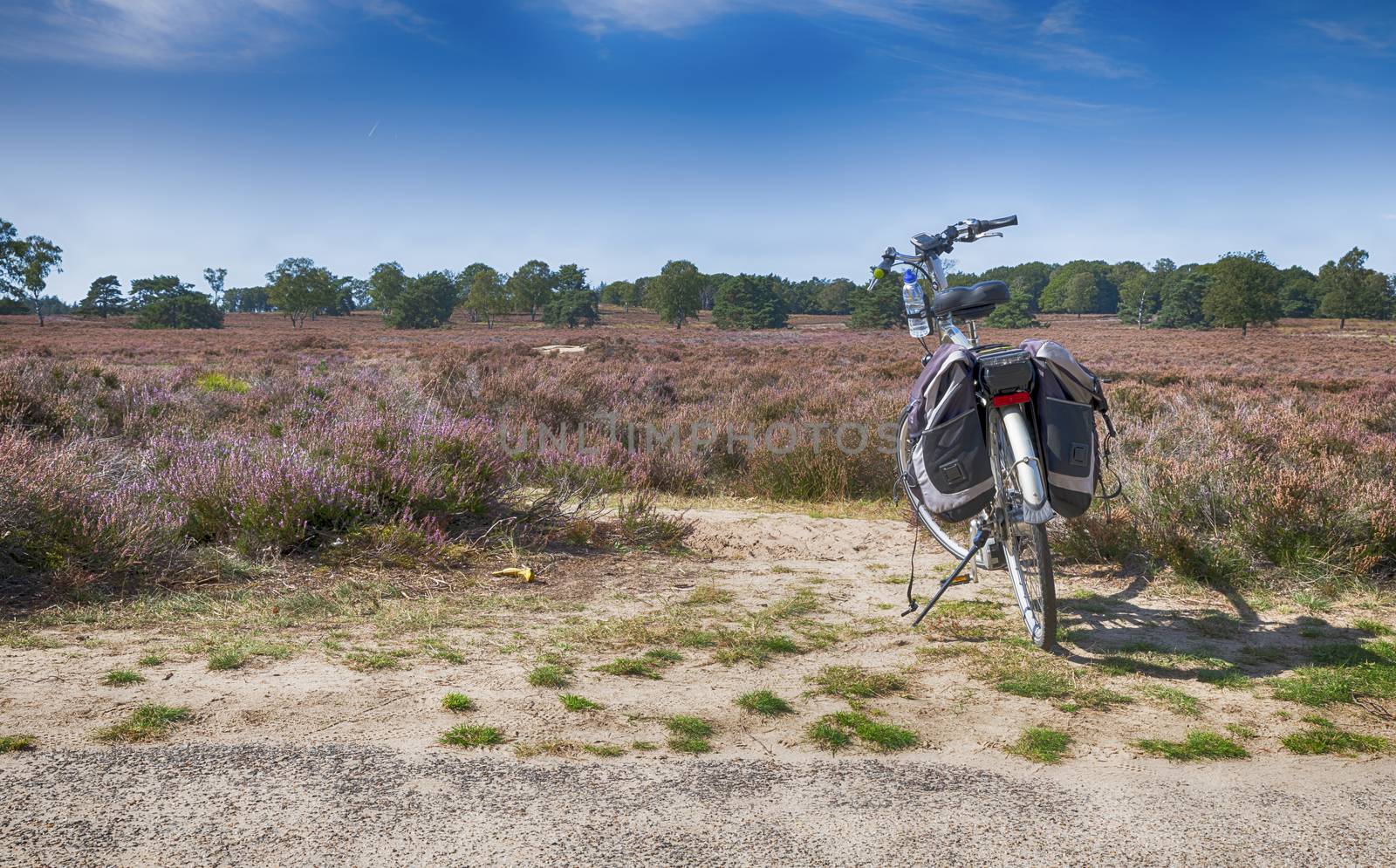 bike during a rest in the national park de veluwezoom in holland
