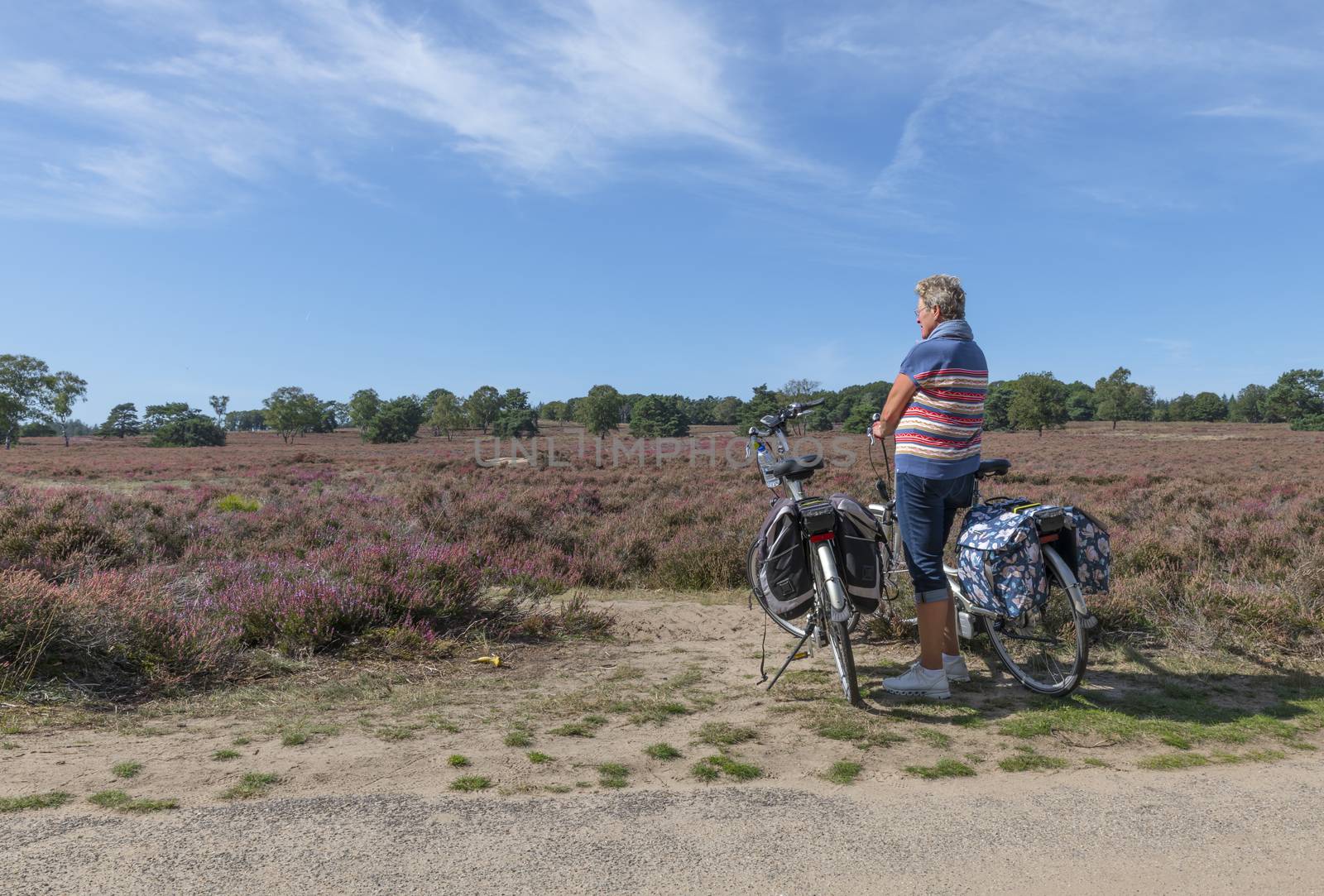 Apeldoorn,Netherlands,14-sep-2019: woman during a moment of rest during a cycling trip on the veluwe heath at rheden in veluwezoom national park
