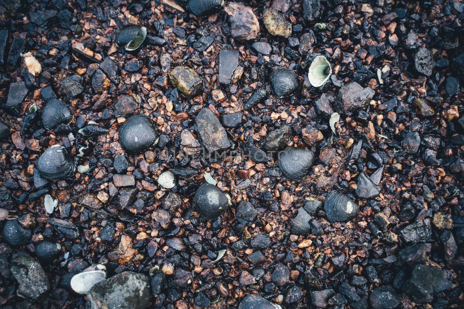 The Small stones by the sea with bokeh effect. Blurred decorative background