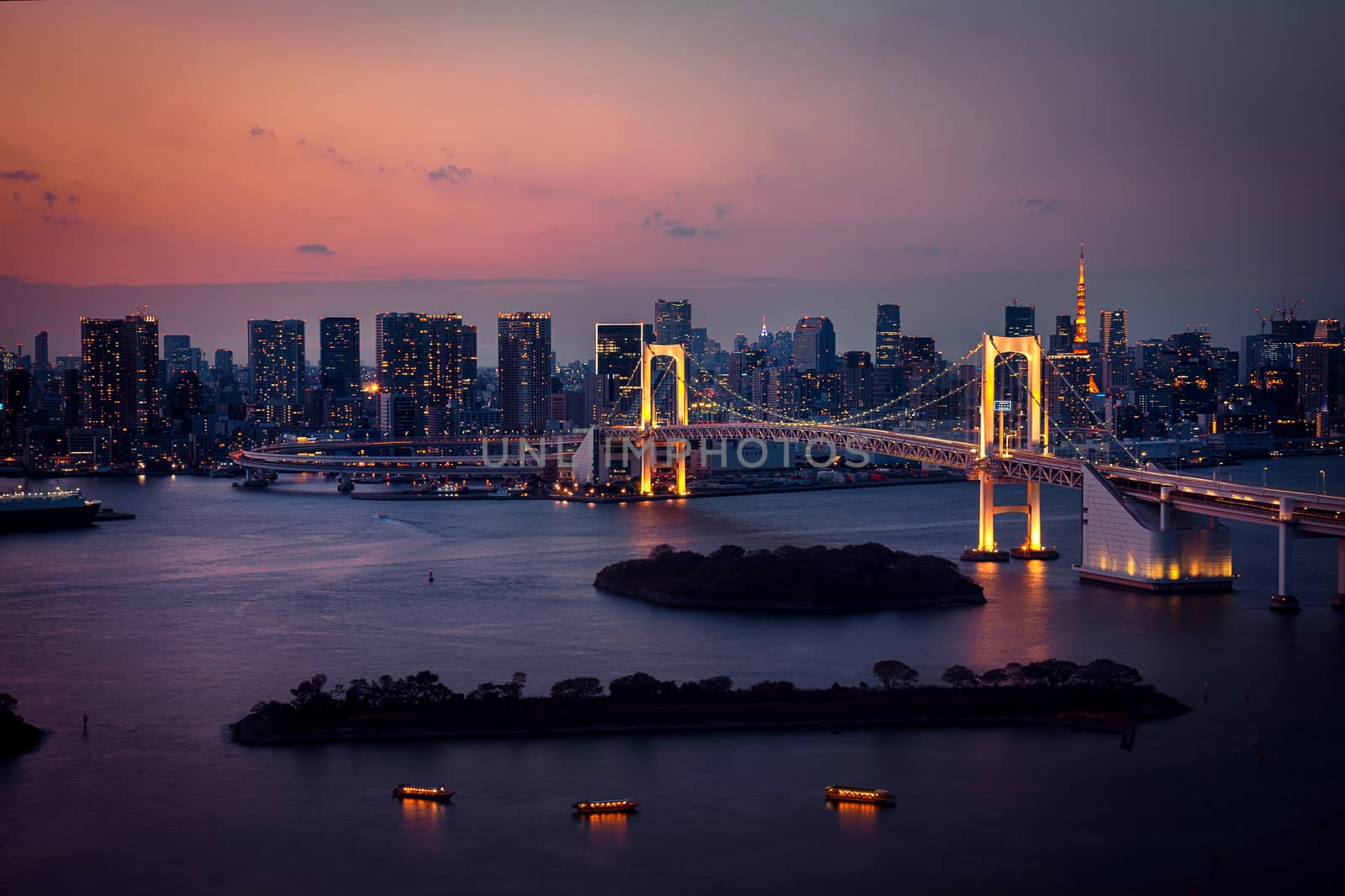 Tokyo skyline with Tokyo Tower and Rainbow Bridge at night in Tokyo, Japan