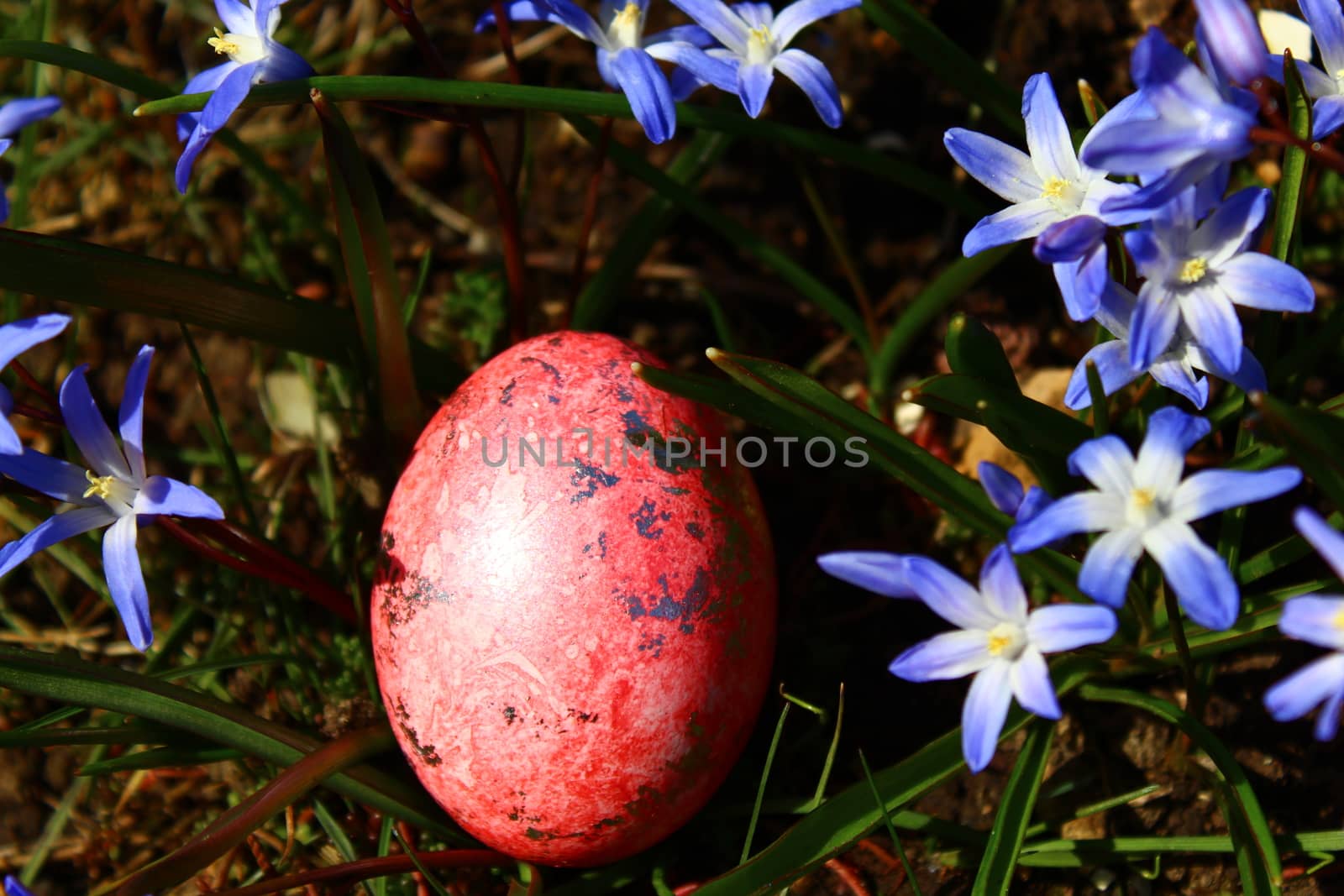 The picture shows an easter decoration with an easter egg and glory of the snow.