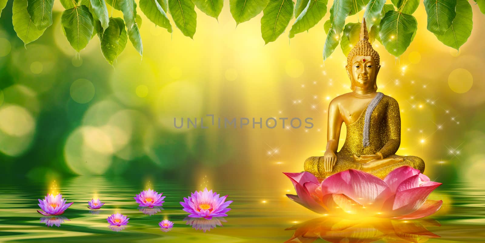 Buddha statue water lotus Buddha standing on lotus flower on orange background