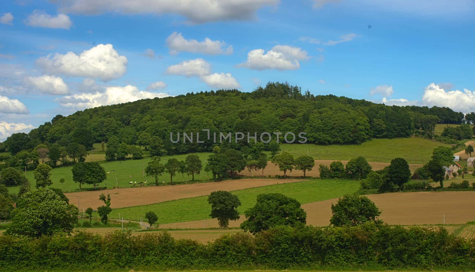 View on the hill and tranquil landscape in rural Normandy