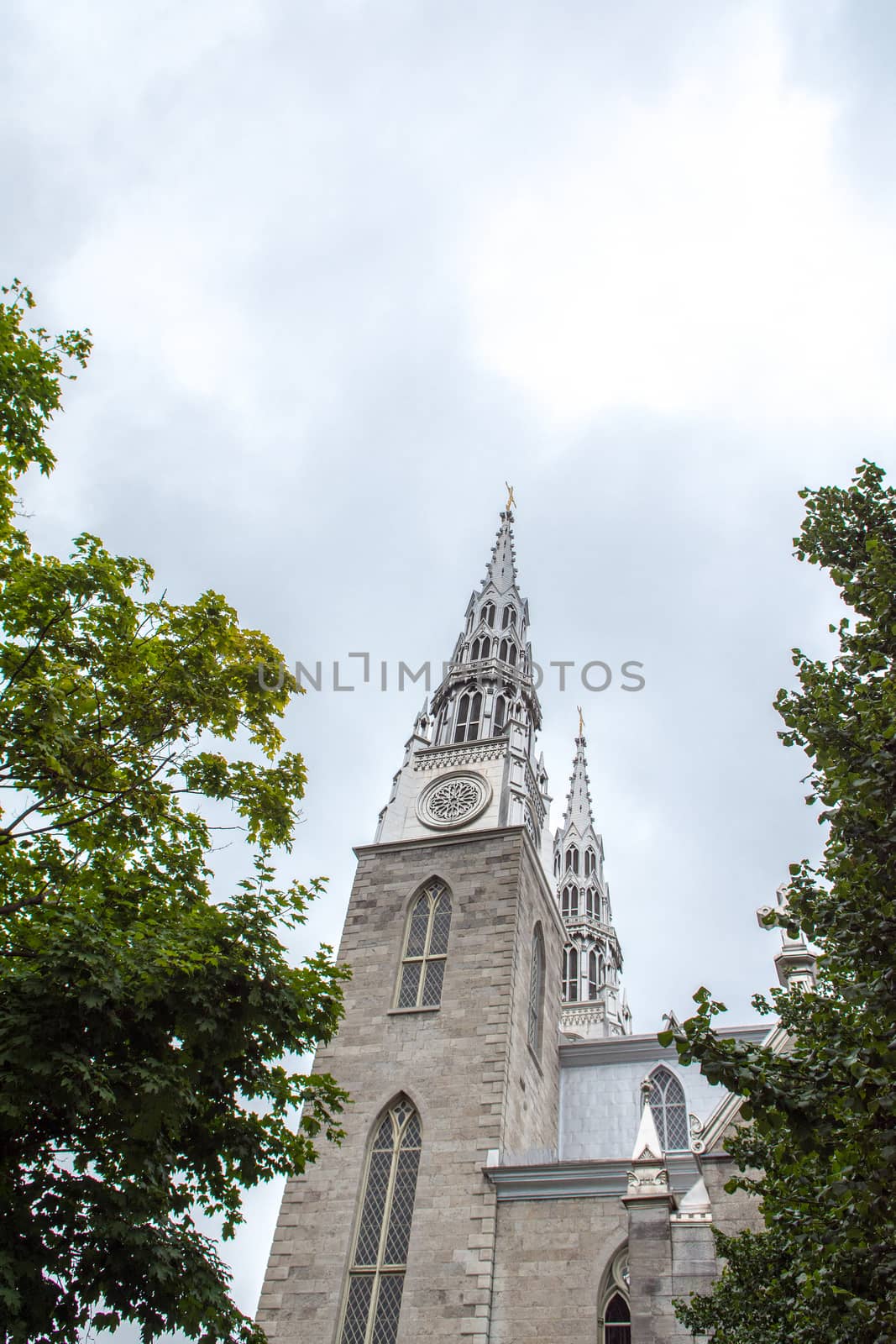 Photo, from below at an angle, of church domes through the leaves of trees against a cloudy sky