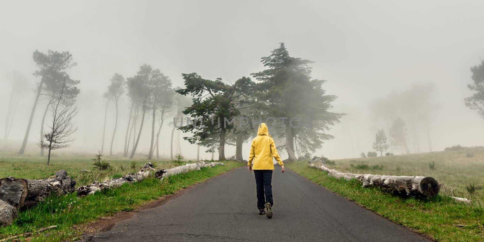 Walking on a foggy road by Iko